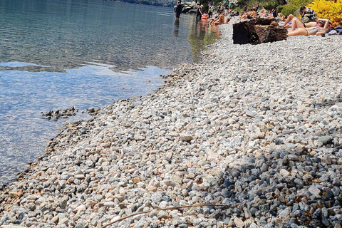 Bariloche: Small-Group Villa Traful & Optional Boat Tour Villa Traful Day Trip with Submerged Forest Boat