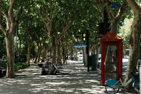 Old Shanghai: Yu Garden, Mosque and City Wall Walking Tour