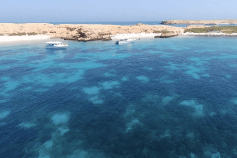 Mascate : tour en bateau privé des îles Daymaniyat avec plongée en apnée