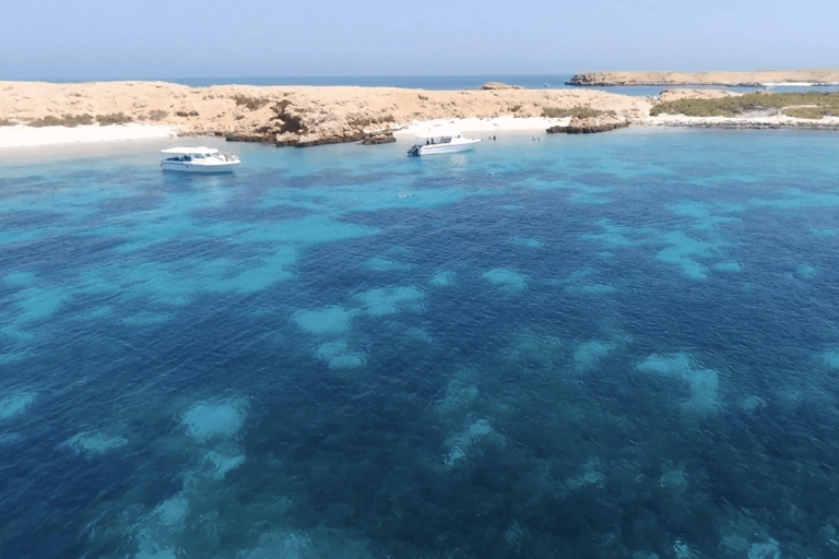 Mascate: passeio de barco particular pelas Ilhas Daymaniyat com mergulho com snorkel