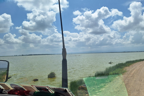 Nairobi: Amboseli National Park Tagestour mit PirschfahrtenSolo Nairobi: Amboseli National Park Tagestour