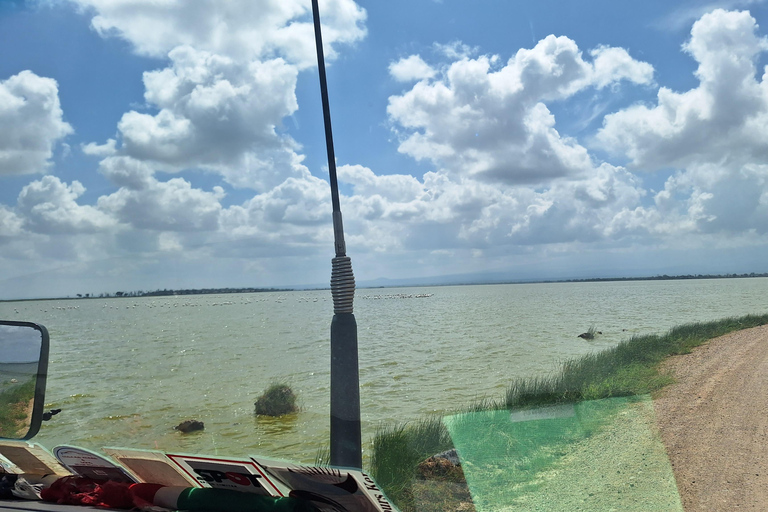 Nairobi: Amboseli National Park Tagestour mit PirschfahrtenSolo Nairobi: Amboseli National Park Tagestour