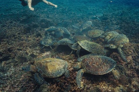 Daymaniat: Muscat Islands Boat Tour with Snorkeling & Brunch Daymaniat Islands Boat Tour with Snorkeling and Brunch