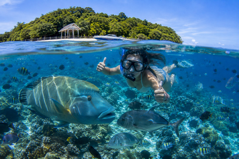 Labuan Bajo: Komodo Full Day Tour & Snorkeling with All Fees