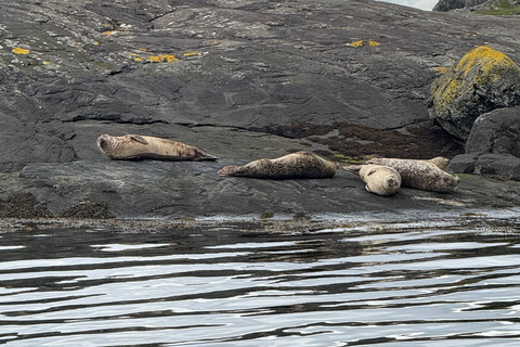 Isle of Skye: Loch Coruisk Boat Trip and Fairy Pools Tour