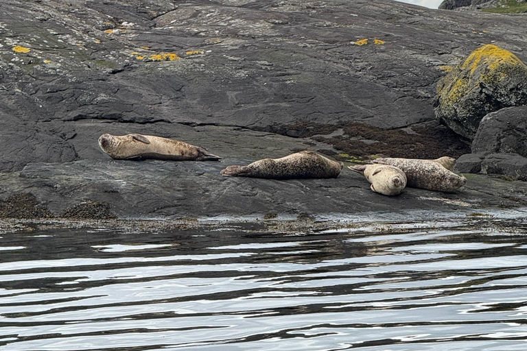 Isle of Skye: Loch Coruisk Boat Trip and Fairy Pools Tour