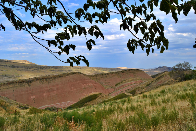 Depuis Tbilissi : Monastère David Gareji et dégustation de vins