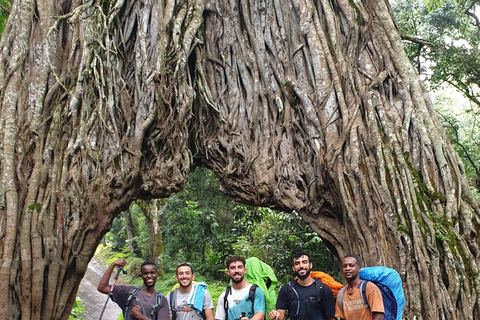 Mount Meru 3-day Trekking TripMount meru 3 days trekking