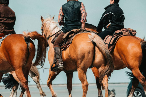 Punta del Este: Experience an unforgettable horseback ride on the beach