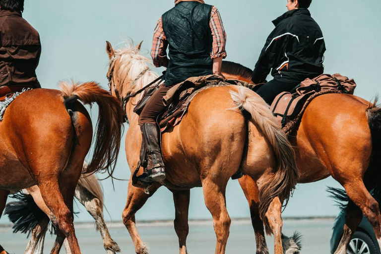 Punta del Este: Beleef een onvergetelijke rit te paard op het strand