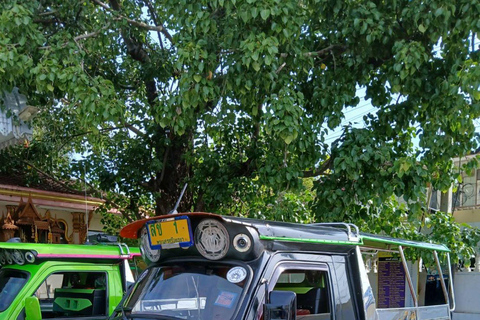 Ayutthaya: Tuk-Tuk Tour Options Boat Trip or Thai Costume Half Day Tuk-Tuk Heritage Tour
