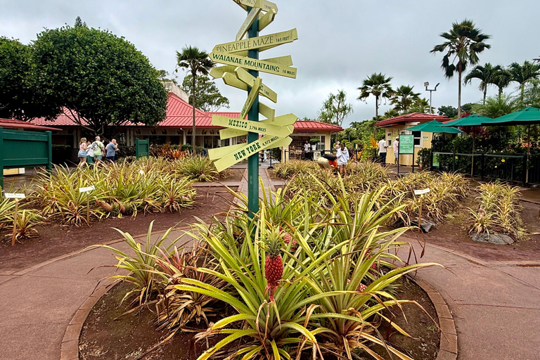 Oahu: Private Circle Island Tour – Your Group Only