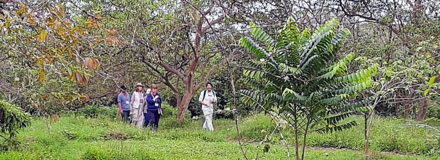 Transfert aéroport à Puerto Ayora avec visite des hauts plateaux