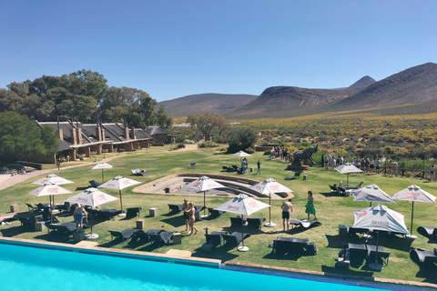 From Cape Town: 2-Day Safari at 4-Star Private Game Reserve From Cape Town: 2-Day Safari at 4-Star Aquila Game Lodge