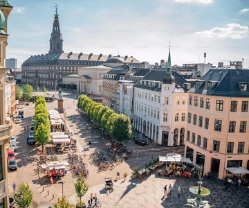 Copenhagen: Guided Walking Tour in French