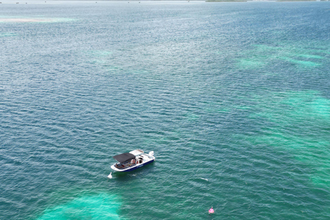 Guadeloupe: Magical half-day boat trip: mangrove, islet, snorkeling. Guadeloupe: Magical 1/2-day boat trip: mangrove, islet, snorkeling.