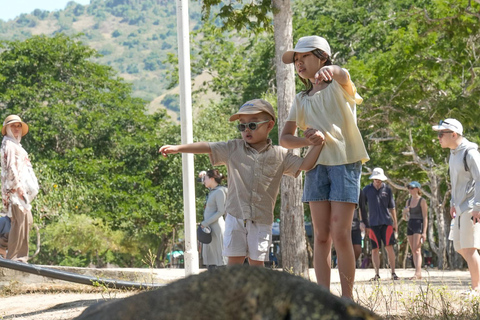 Wonderful Komodo National Park 2-Day Boat Tour