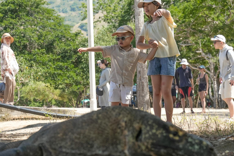 Wonderful Komodo National Park 2-Day Boat Tour