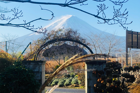 From Tokyo: Mount Fuji Private Tour With English Guide Route 2 Mount Fuji & Hakone: Full day customized Tour