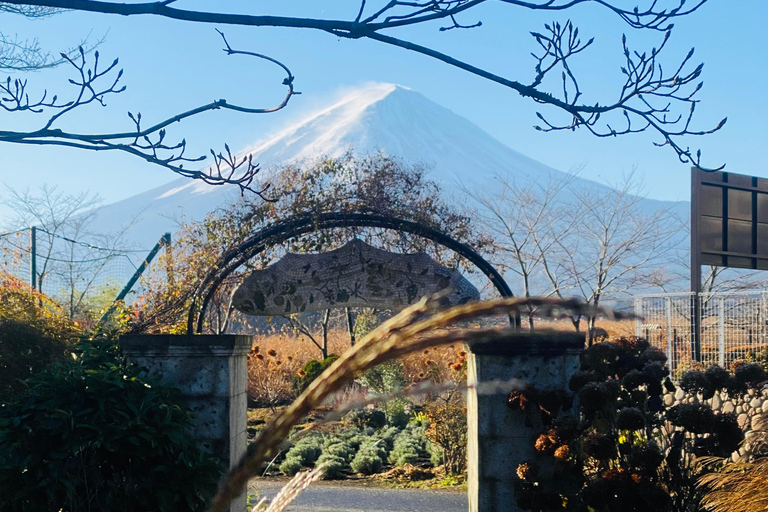 From Tokyo: Mount Fuji Private Tour With English Guide Route 2 Mount Fuji & Hakone: Full day customized Tour