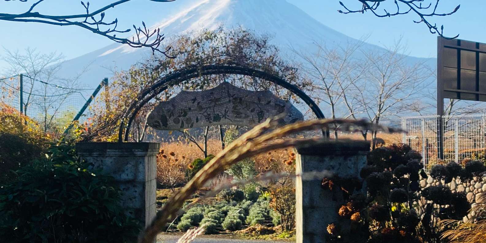 From Tokyo: Mount Fuji Private Tour With English Guide