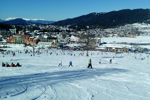 From Tbilisi: Magical Borjomi & Bakuriani with Toboggan Ride