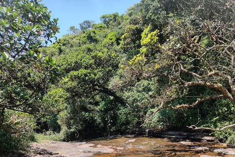 Thangappuwa Falls: Explore One of Knuckles’ 7 Cascades