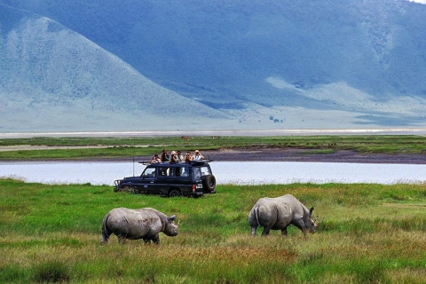 1 jour de safari dans le cratère du Ngorongoro