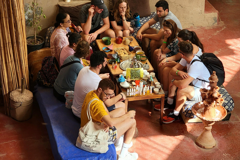 Marrakech: Ourika Valley, Waterfalls Private Trip with Lunch
