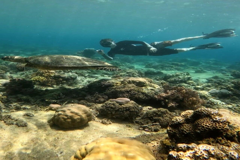 Schnorcheln Gili Islands Korallenschildkröte & Unterwasserstatuen2h Schnorcheln auf Gilis mit Schildkröte und Statue mit Go-Pro