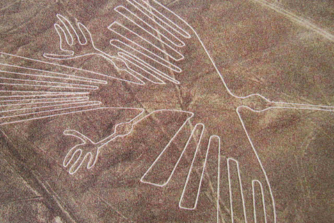 From Ica: Overflight in the Nazca Lines