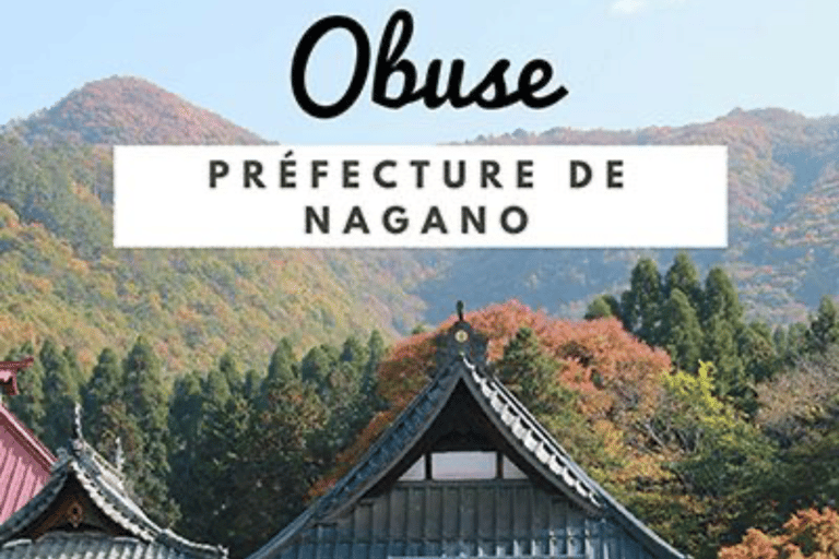 From Tokyo: Nagano Private Day Trip with Zenko-ji Temple