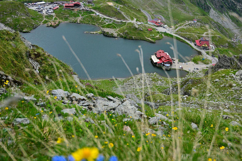 Brasov: Transfagarasan Highway Private Tour with Pickup