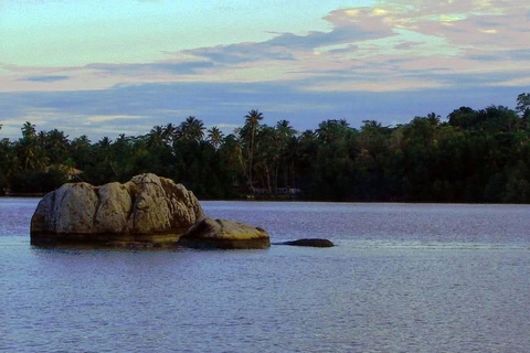 Bentota: River Safari with Hotel Pickup and Drop-off