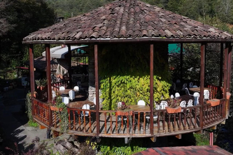 Adjara: Vineyard Tour with Wine Tasting and Lunch