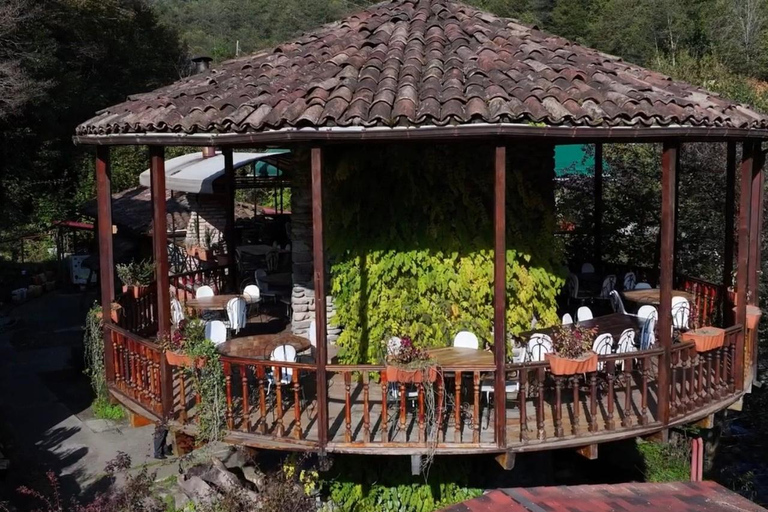 Adjara: Vineyard Tour with Wine Tasting and Lunch
