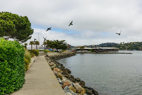 Stadsrondleiding San Francisco + Muir Woods en SausalitoSan Francisco Grand City Tour + Muir Woods en Sausalito