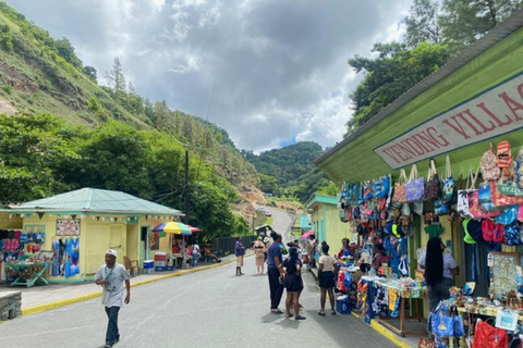 Santa Lucía: Tour privado de un día personalizable con conductor