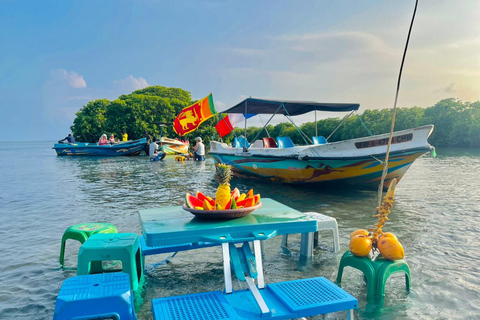 From Negombo: Boat Tour of Negombo Lagoon