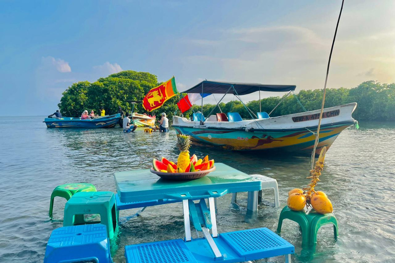 From Negombo: Boat Tour of Negombo Lagoon