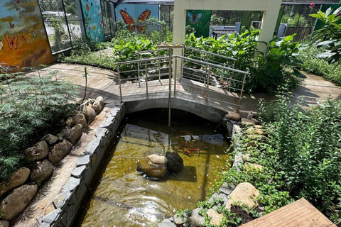 Vlindertuin Plus Apen en sigaren Puerto Plata-tourVlindertuin Plus Apen en sigaren in Puerto Plata