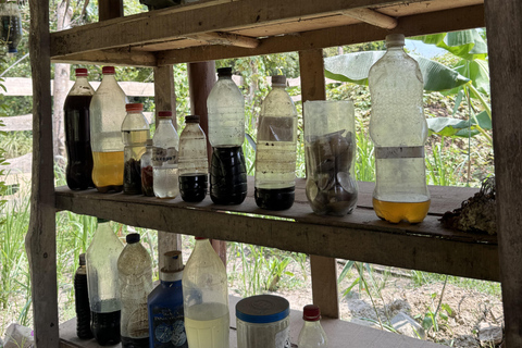 El Nido, Sibaltan: Local Organic Farm Tour & Product Tasting Farm Tour: 2 to 5