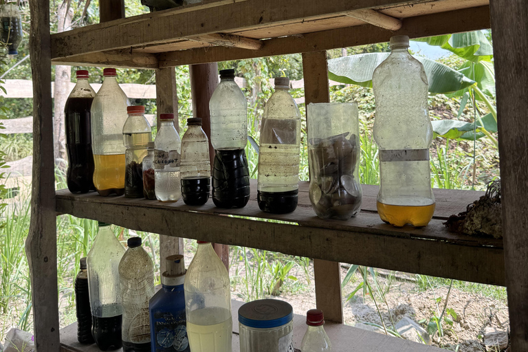 El Nido, Sibaltan: Local Organic Farm Tour & Product Tasting Farm Tour: 2 to 5