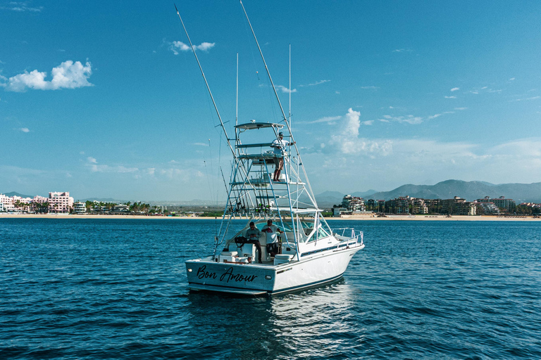 卡波圣卢卡斯：游艇之旅 + 鲸鱼观赏卡波圣卢卡斯：游览 paseo al Arco en Yate + Safari Whale