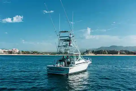 Cabo San Lucas: Paseo al Arco en Yate + Safari Ballenas