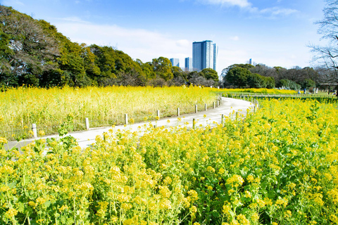 Tóquio : Excursão guiada a pé pelo jardim japonês em Hama RikyuExcursão a pé guiada nos Jardins de Hama Rikyu