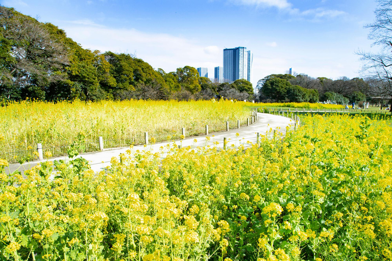 Tóquio : Excursão guiada a pé pelo jardim japonês em Hama RikyuExcursão a pé guiada nos Jardins de Hama Rikyu