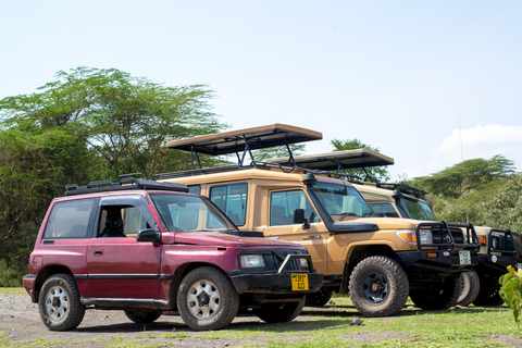 Tarangire Day Safari: Private 4x4 Suzuki Vitara Experience