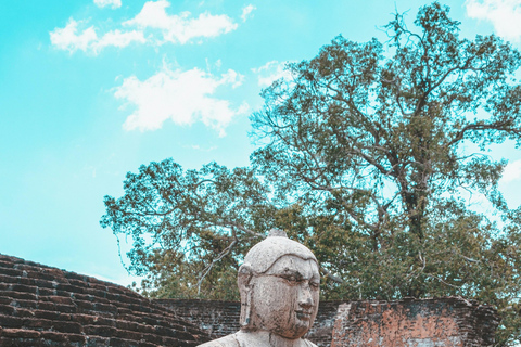 Habarana: Polonnaruwa, Sigiriya en dambulla dagexcursie