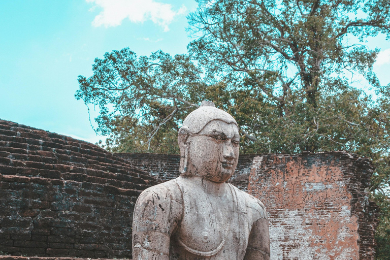 Habarana: Polonnaruwa, Sigiriya and dambulla day tour